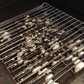 End of Tenancy Cleaning Coldstream
